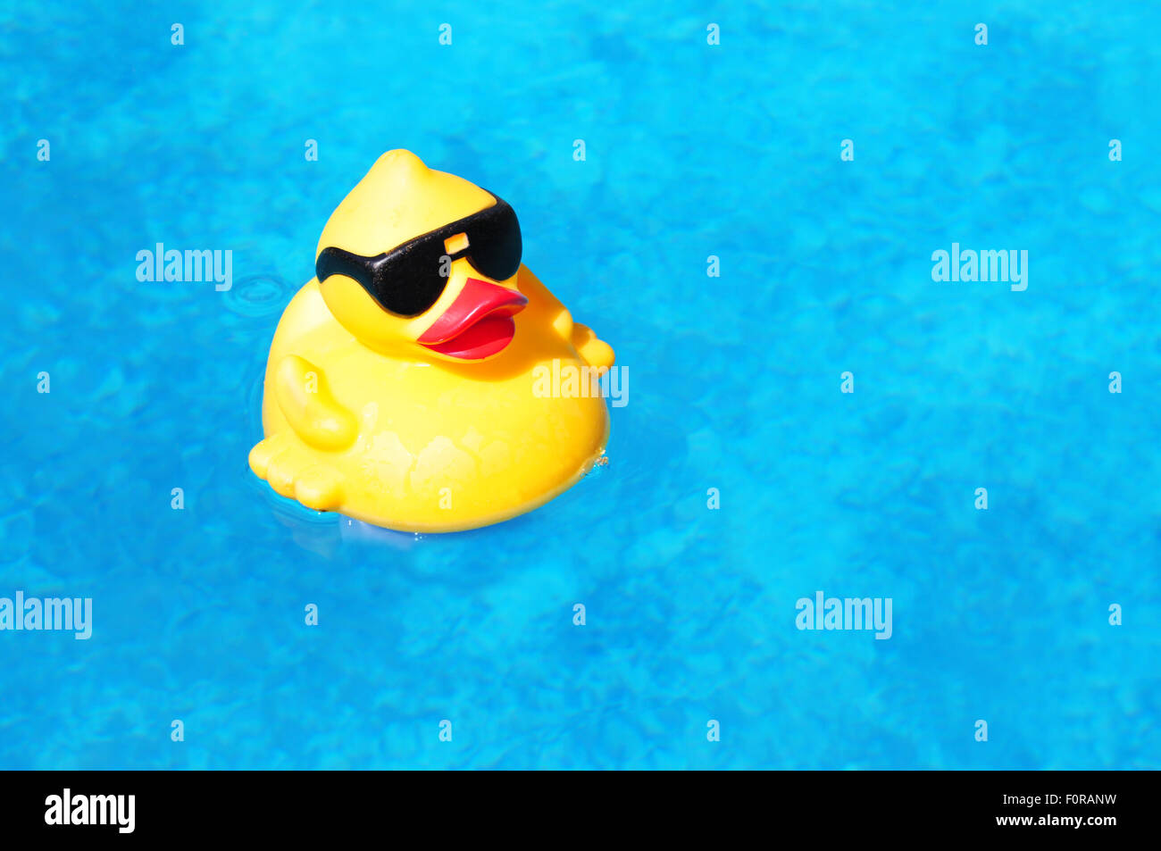 Gomma anatra gialla fluttuante all'interno di una piscina Foto Stock