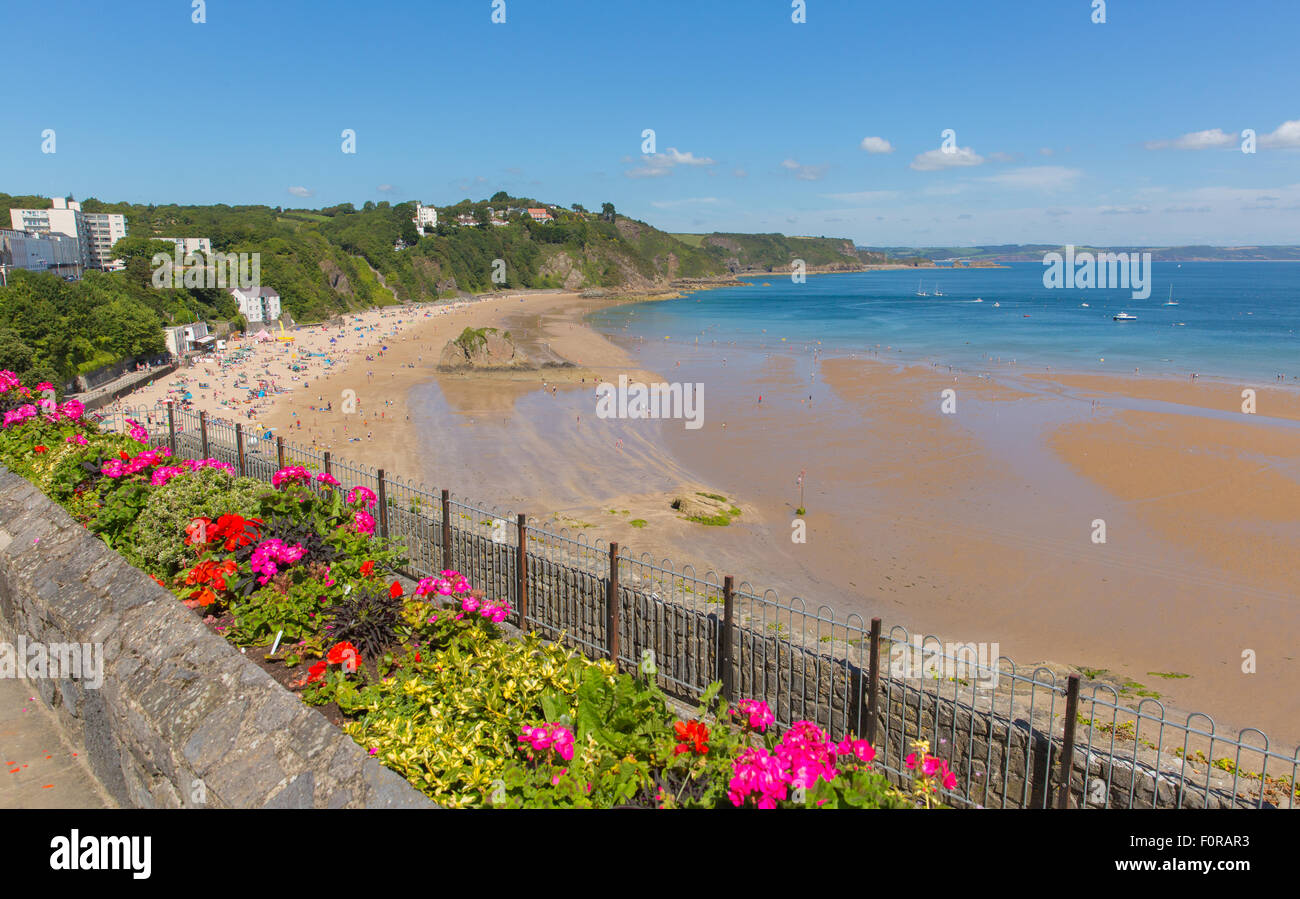 Spiaggia Tenby Galles in estate con fiori rosa colorati, turisti e blu mare e cielo e. Foto Stock