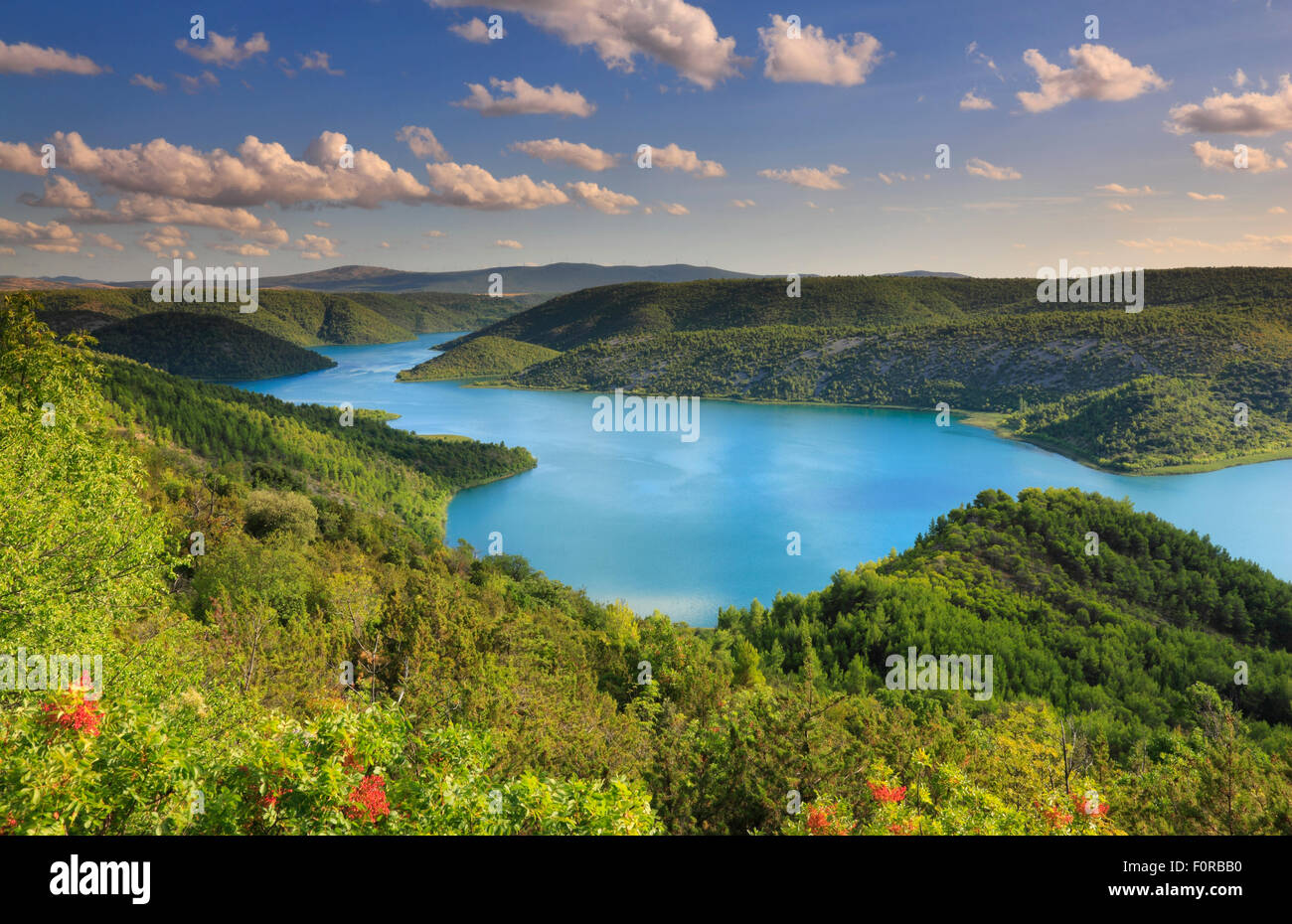 Paesaggio fluviale. Natioal park Krka in Croazia Foto Stock