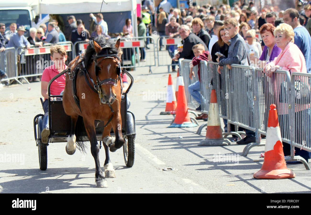 Wickham , Hampshire giovedì 20 agosto 2015 176 ufficiali erano mossi dal loro ruoli attraverso Hampshire per lavorare a Wickham Fiera Cavalli a maggio, con costi aggiuntivi di £ 5289 sulla parte superiore della constabulary quotidiana della spese di funzionamento. Sovrintendente Capo Scott Chilton, capo delle operazioni congiunte in Hampshire Constabulary e Thames Valley Police, detti i numeri sono di vitale importanza per garantire la manifestazione è stata la criminalità-libero. Egli ha detto: "La comunità di viaggio ha il diritto di farlo ogni anno e che non può essere interrotta. Abbiamo bisogno per assicurarsi che abbia un impatto minimo sulla comunità." La Wickham cavallo Fa Foto Stock