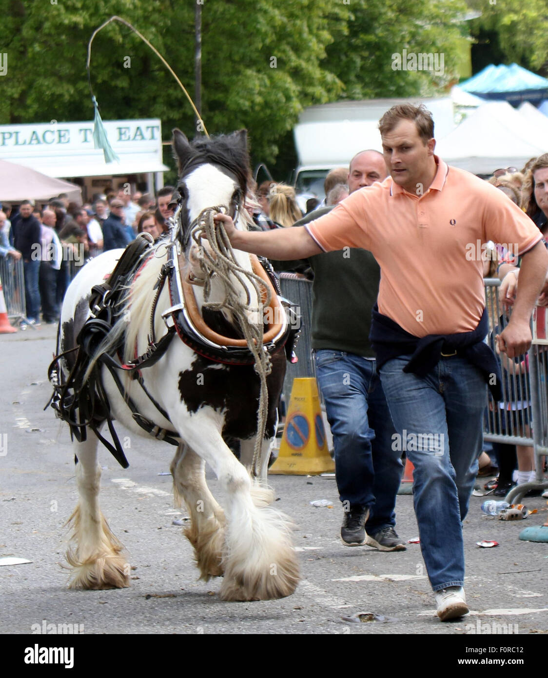Wickham , Hampshire giovedì 20 agosto 2015 176 ufficiali erano mossi dal loro ruoli attraverso Hampshire per lavorare a Wickham Fiera Cavalli a maggio, con costi aggiuntivi di £ 5289 sulla parte superiore della constabulary quotidiana della spese di funzionamento. Sovrintendente Capo Scott Chilton, capo delle operazioni congiunte in Hampshire Constabulary e Thames Valley Police, detti i numeri sono di vitale importanza per garantire la manifestazione è stata la criminalità-libero. Egli ha detto: "La comunità di viaggio ha il diritto di farlo ogni anno e che non può essere interrotta. Abbiamo bisogno per assicurarsi che abbia un impatto minimo sulla comunità." La Wickham cavallo Fa Foto Stock