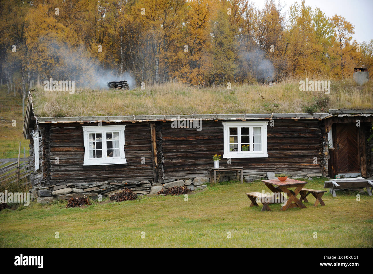 Edificio di legno con tetto di erba, Forollhogna National Park, Norvegia, settembre 2008 Foto Stock