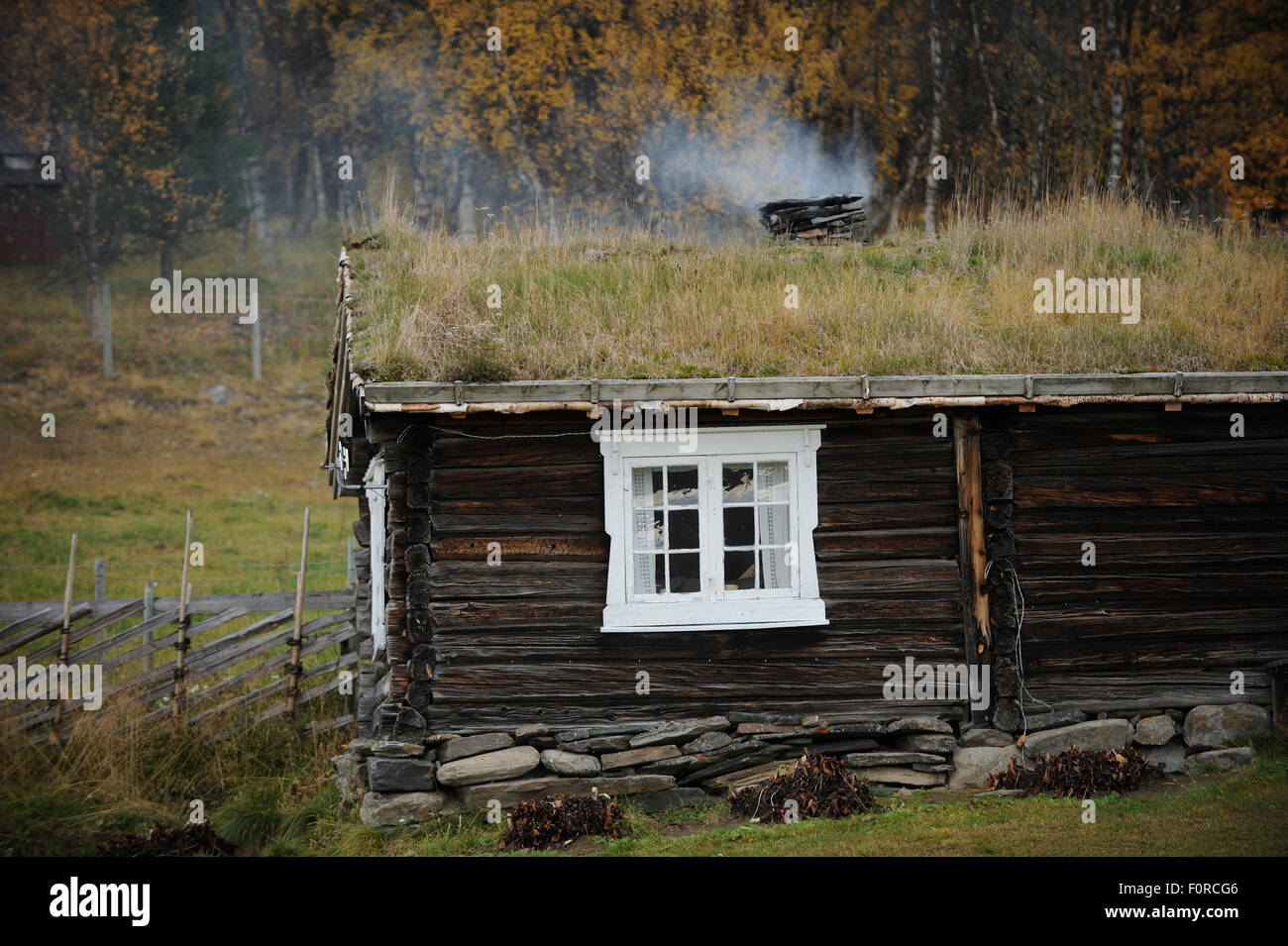 Edificio di legno con tetto di erba, Forollhogna National Park, Norvegia, settembre 2008 Foto Stock