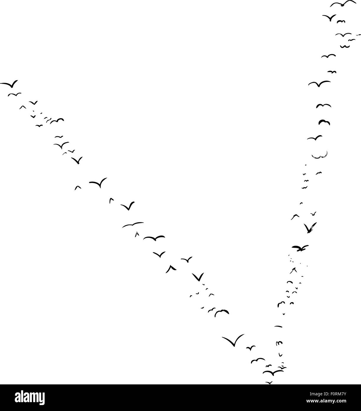 Illustrazione di uno stormo di uccelli nella forma della lettera v Foto Stock