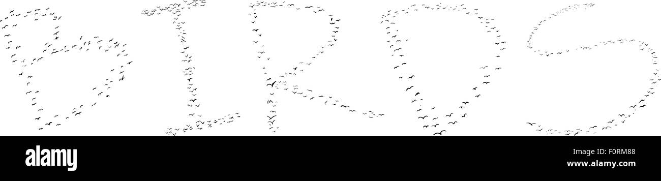 Stormo di uccelli immagine con sfondo bianco Foto Stock