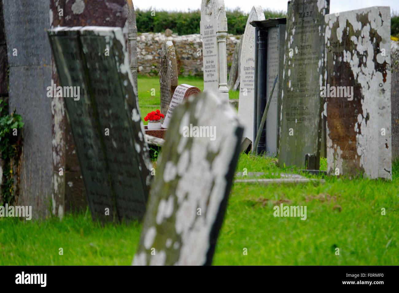 Fiori di colore rosso su una tomba in un cimitero di Gallese Foto Stock