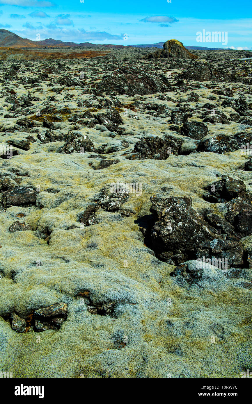 Moss coperto campo di lava Sud dell'Islanda Foto Stock