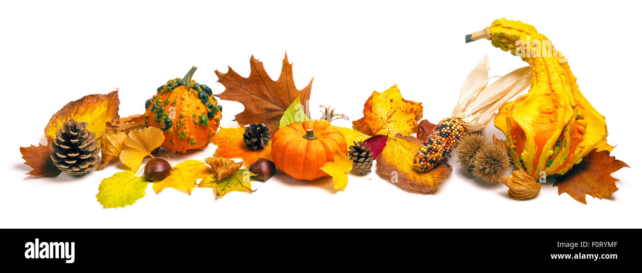 Autunno naturale decorazione disposta con foglie secche, zucche ornamentali, coni e più, studio isolato su bianco, formato wide Foto Stock