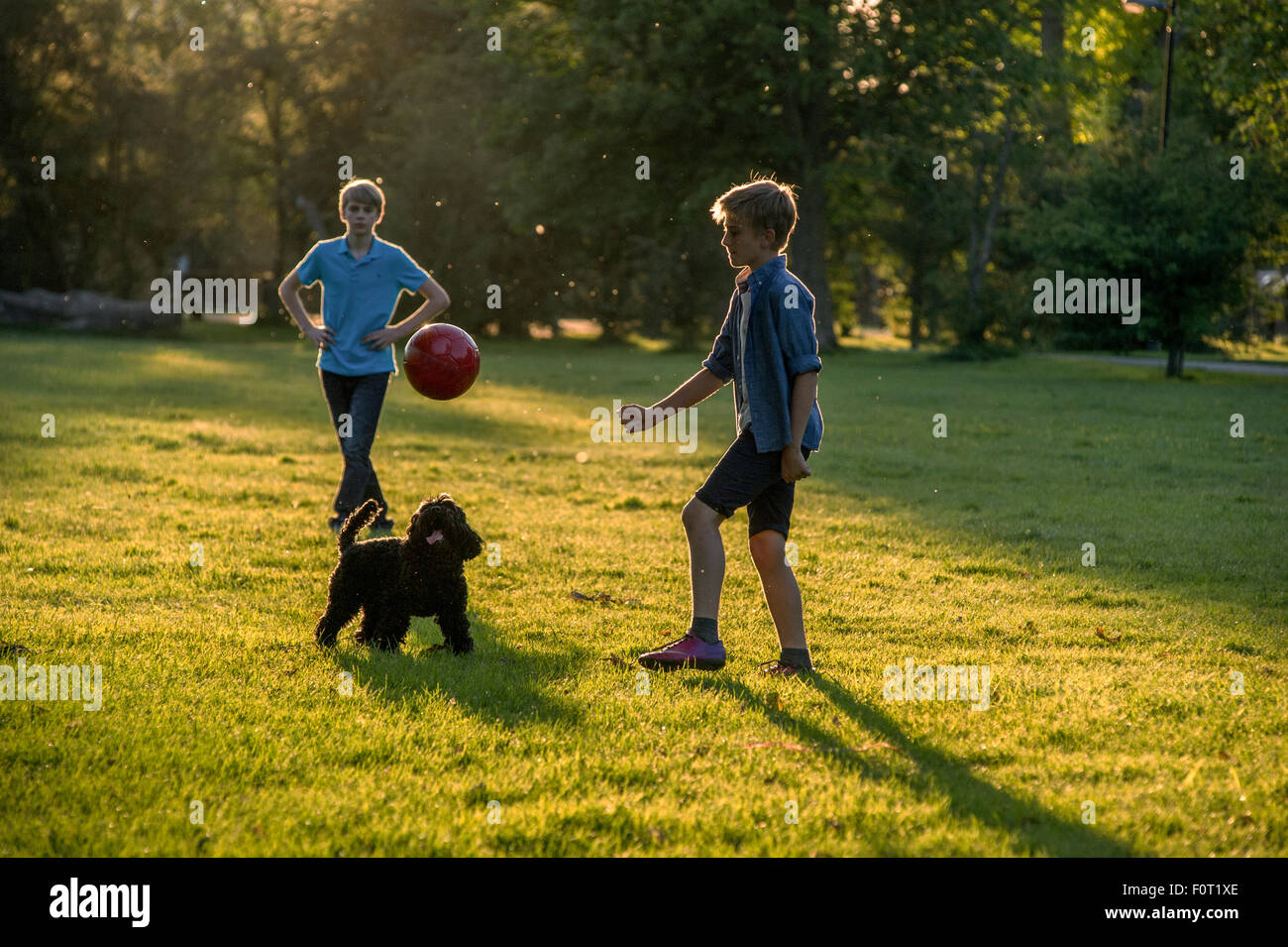 Due ragazzi giocare a calcio negli ultimi del sole estivo in un parco di Londra con il loro cane Foto Stock