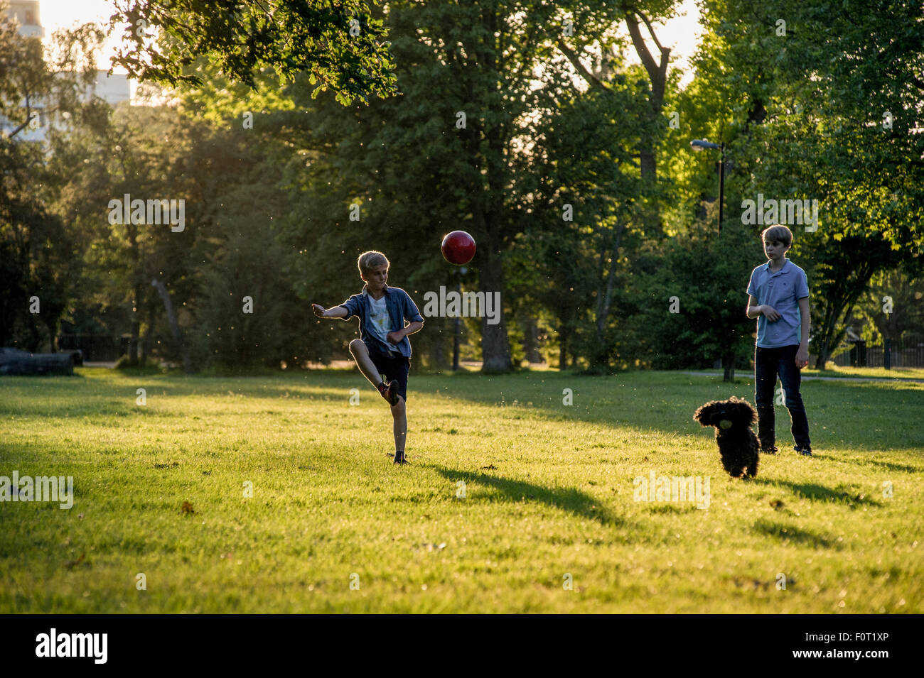 Due ragazzi giocare a calcio negli ultimi del sole estivo in un parco di Londra con il loro cane Foto Stock