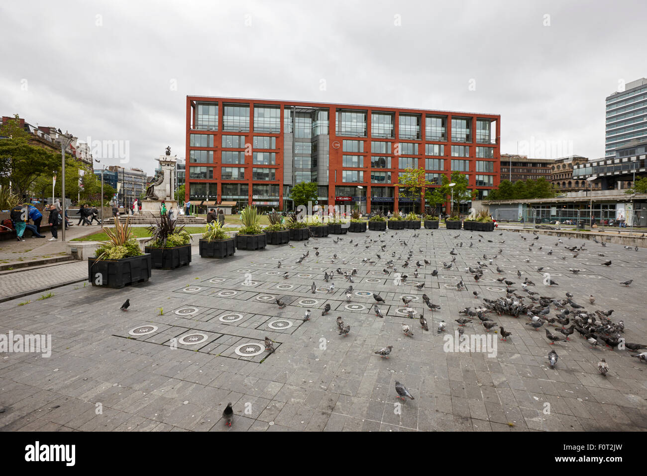 Stormo di piccioni in Piccadilly gardens Manchester Inghilterra England Regno Unito Foto Stock