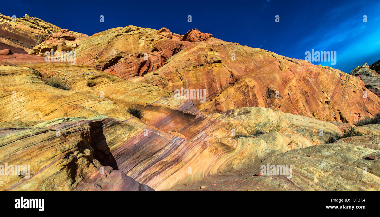 I canyons, cupole e torri, creste e valli di Rainbow Vista Foto Stock