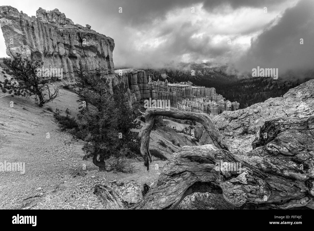 Bellissimo il Bryce Canyon coperto con le dense nubi Utah paesaggio in bianco e nero Foto Stock