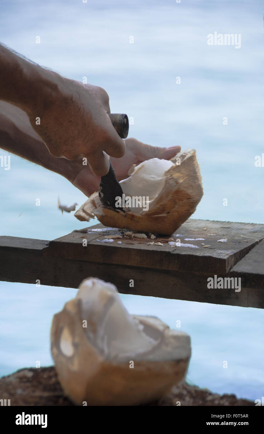 Close-up di uomo taglio di cocco fresco al chiosco stradale sulla baia di Banderas, Puerto Vallarta sulla costa Pacifica del Messico. Foto Stock