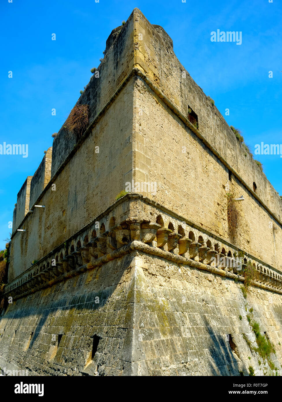 Dettaglio castello svevo di Bari con struttura ad albero. La Puglia. L'Italia. Foto Stock