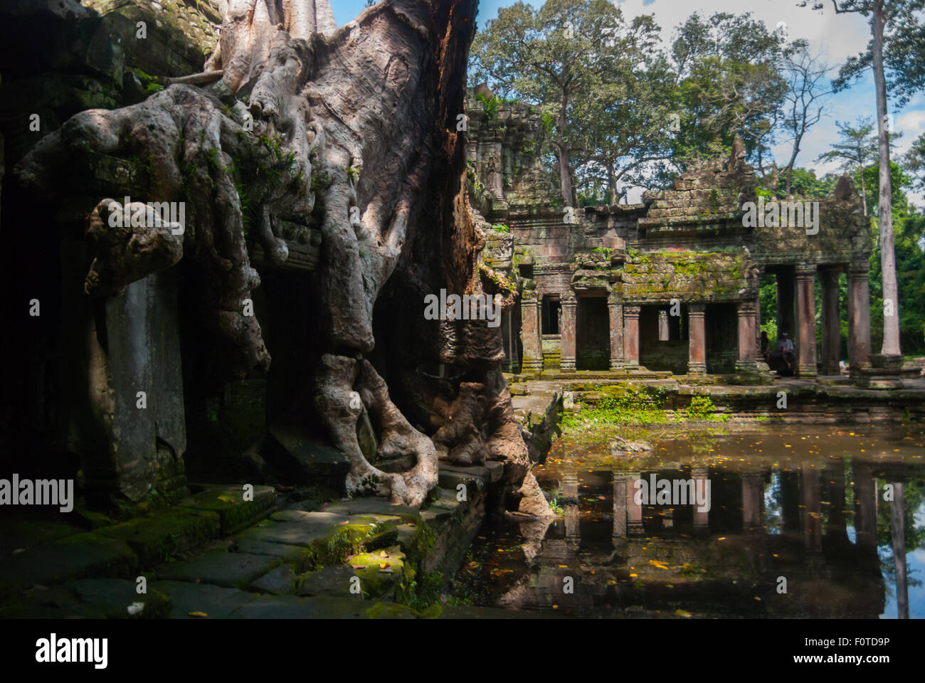 Alberi che invadono le rovine del tempio di Preah Khan a Siem Reap, Cambogia. Foto Stock