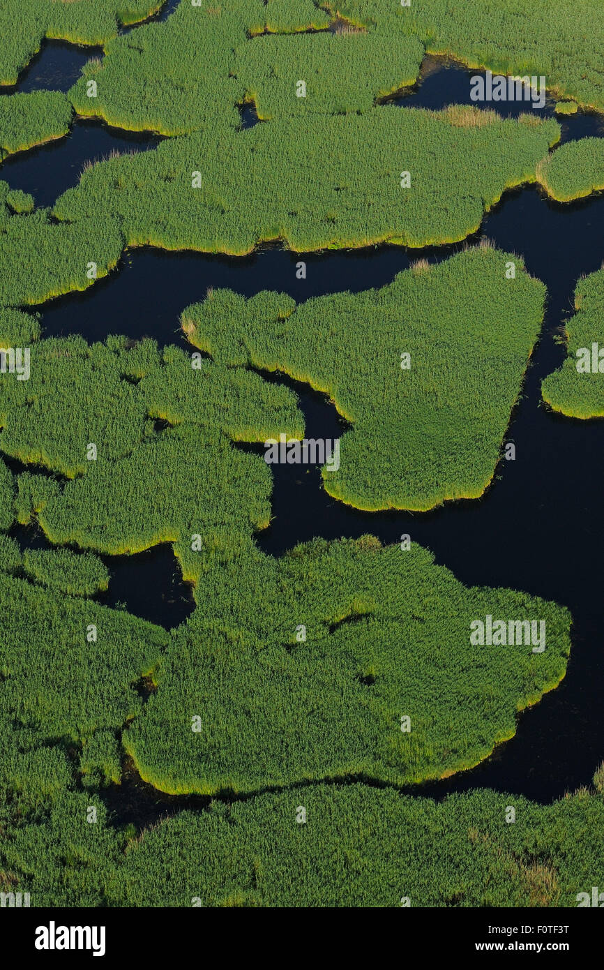 Veduta aerea del delta del Danubio zone umide area rewilding, Romania, Giugno 2012 Foto Stock