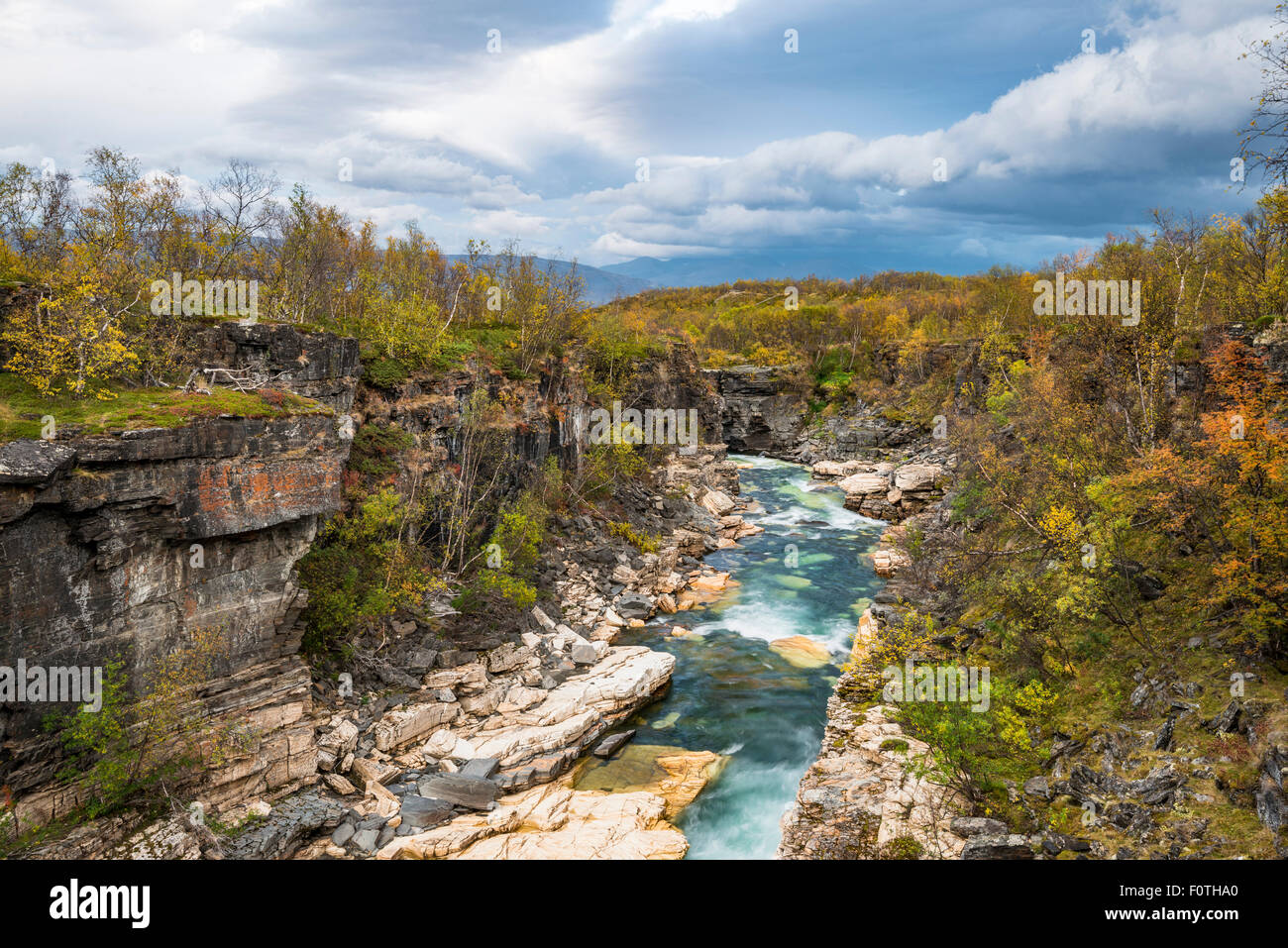 Autunno in Abisko canyon, Abisko National Park, Norrbotten, Lapponia, Scandinavia, Svezia Foto Stock