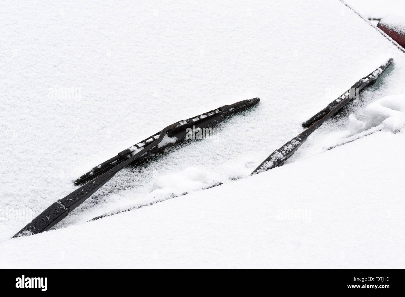 Primo piano di un'auto parabrezza e tergicristalli coperte di neve Foto Stock