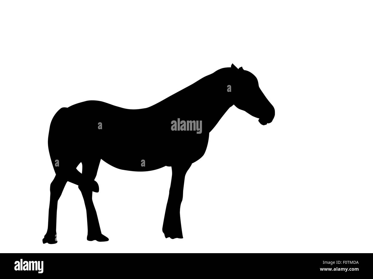 Silhouette a cavallo. Illustrazione Vettoriale. Illustrazione Vettoriale
