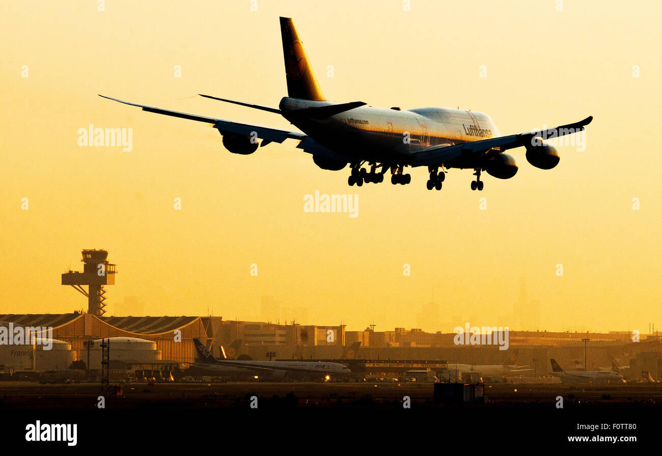Un Lufthansa Boeing 747-8 tocca terra all'alba all'aeroporto di Frankfurt am Main, Germania, 21 agosto 2015. Profilo della città può essere visto emergenti dalla nebbia mattutina in background. Foto: Christoph Schmidt/dpa Foto Stock