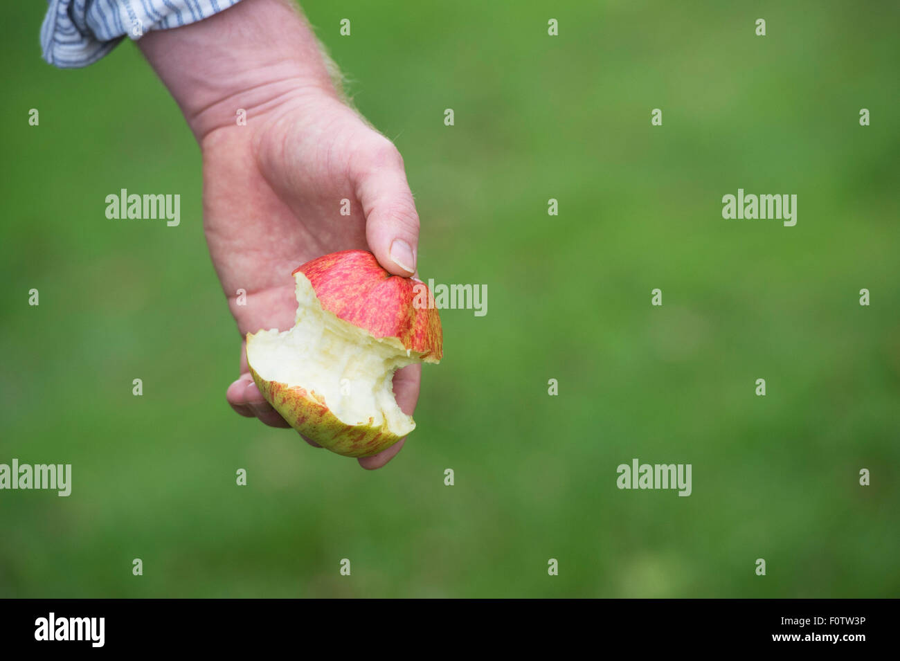 I giardinieri di mano che tiene un mangiare apple Foto Stock