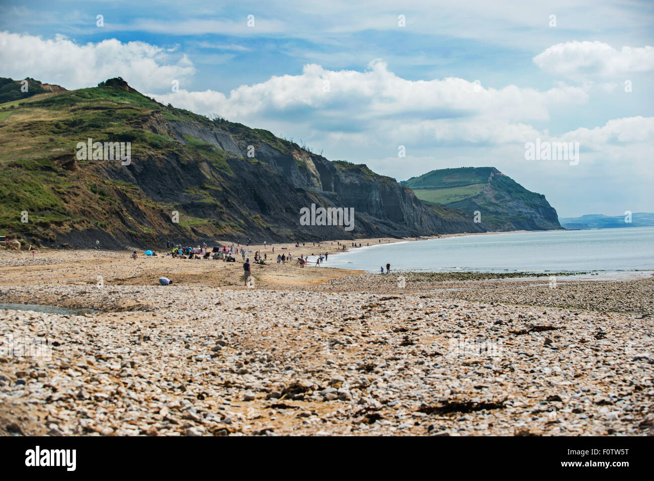 Una vista della spiaggia e argilla liassic scogliere a est di Charmouth con Golden Cap in background. Il Dorset Inghilterra, Foto Stock