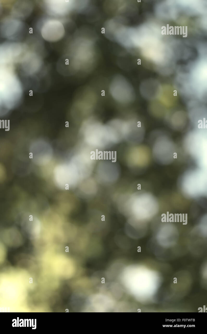 Bokeh sfondo. Elemento di design. Foto Stock