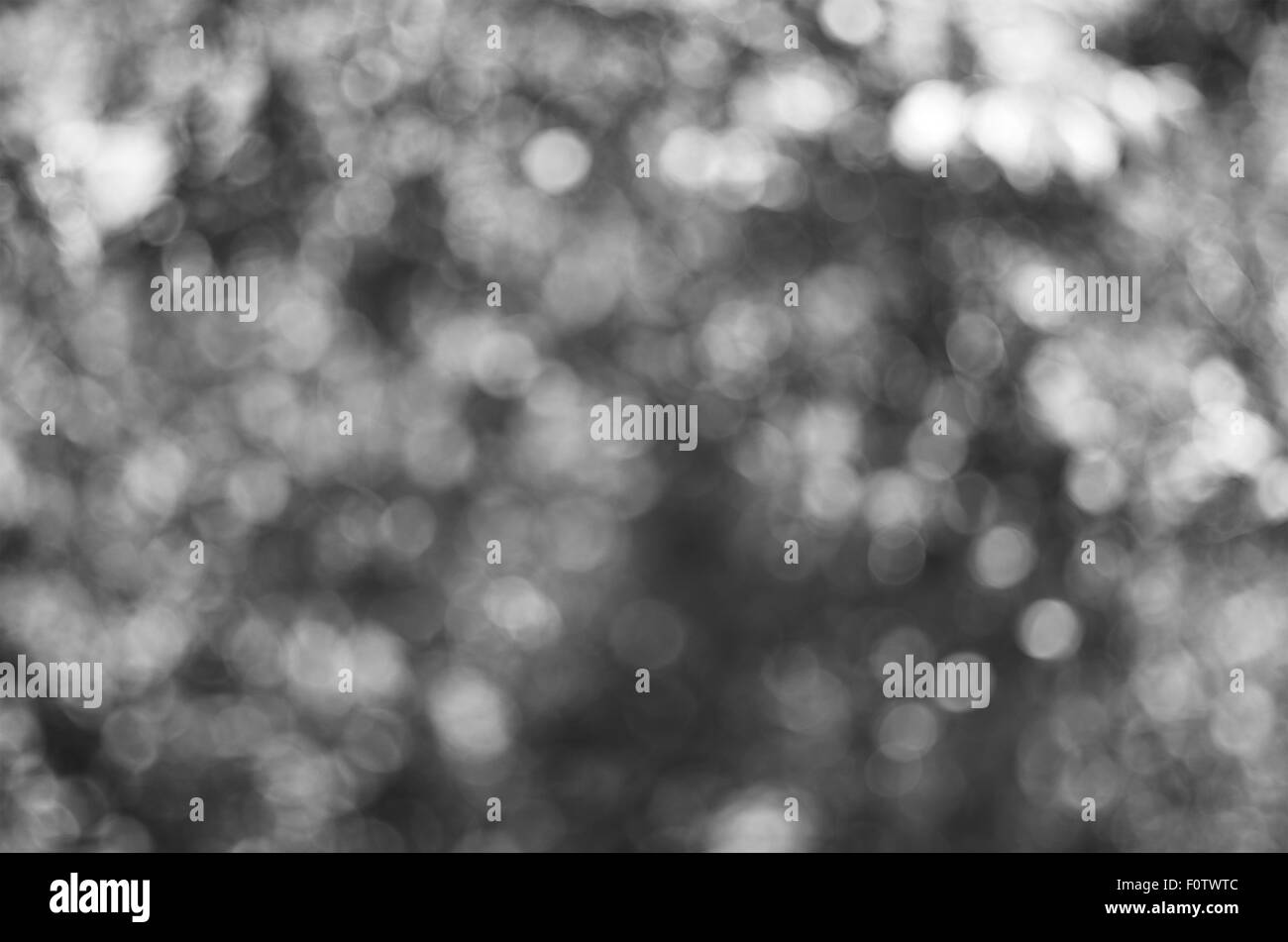In bianco e nero di sfondo bokeh di fondo. Elemento di design. Foto Stock
