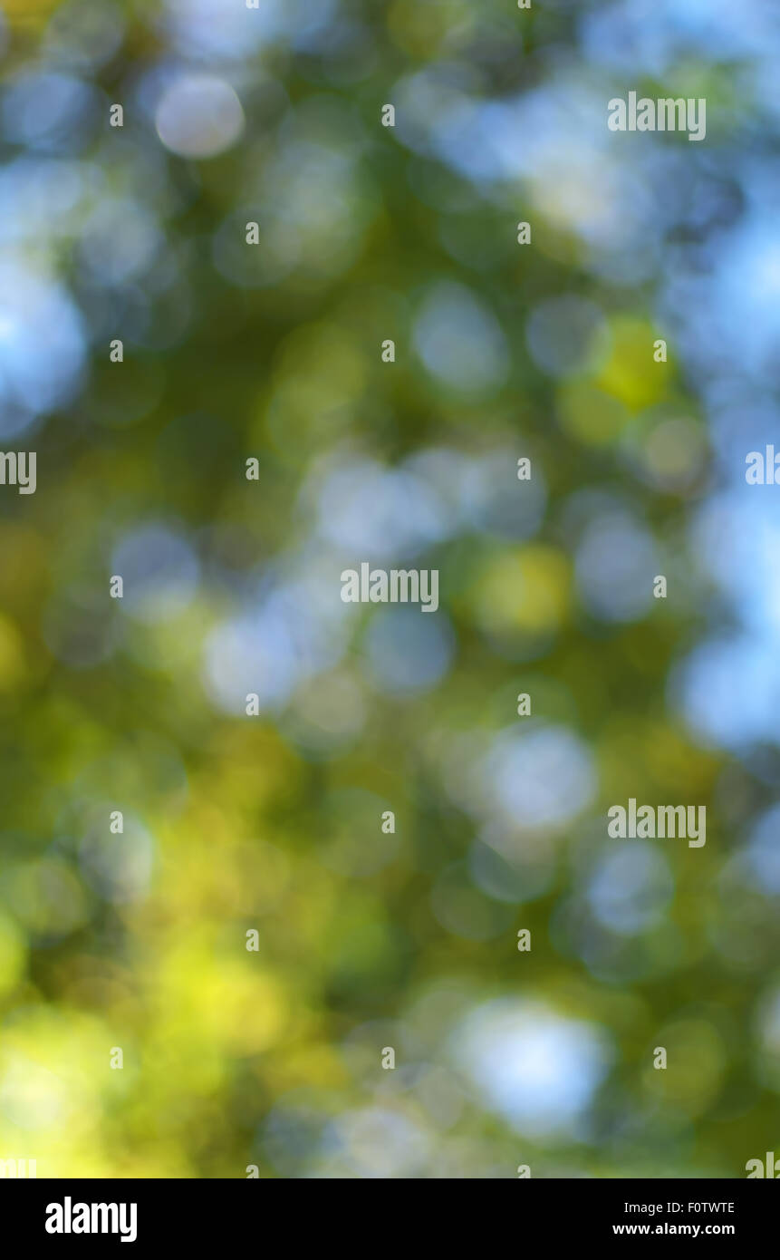 Bokeh sfondo. Elemento di design. Foto Stock