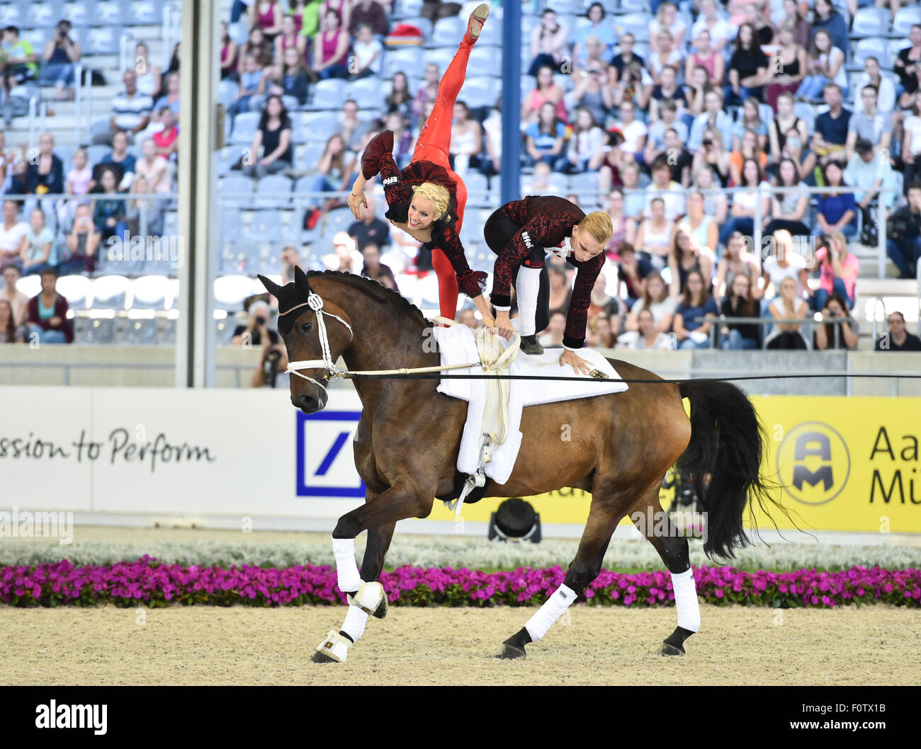 Aachen, Germania. 21 Ago, 2015. Pia Engelberty e Torben Jacobs di Germania eseguire sul loro cavallo Danny Boy in Vaulting pas de deux Freestyle Test durante il FEI Campionati Europei di Aachen, Germania, 21 agosto 2015. Foto: Uwe Anspach/dpa/Alamy Live News Foto Stock