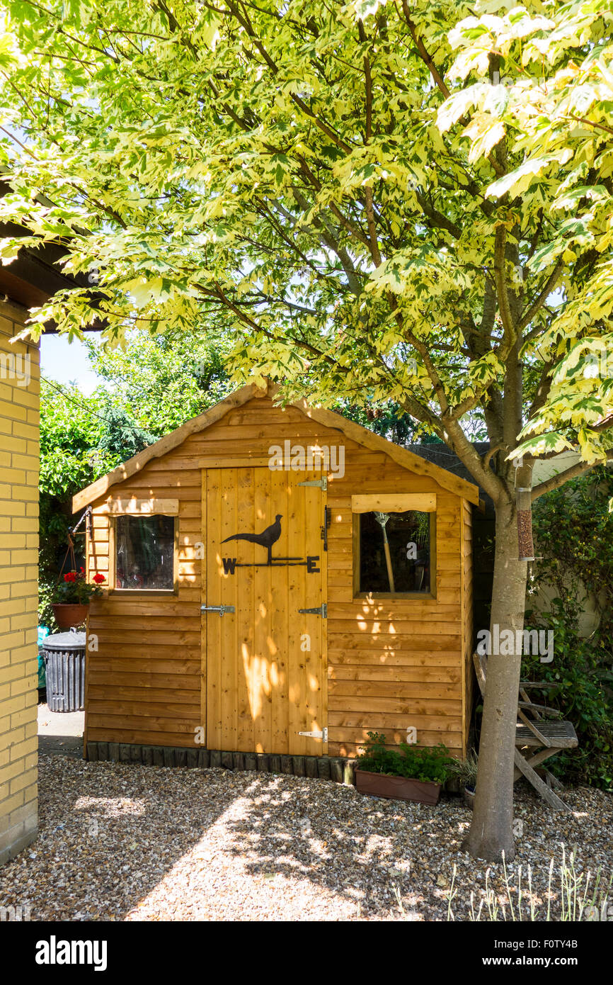 Un legno di nuova Tettoia da giardino Foto Stock