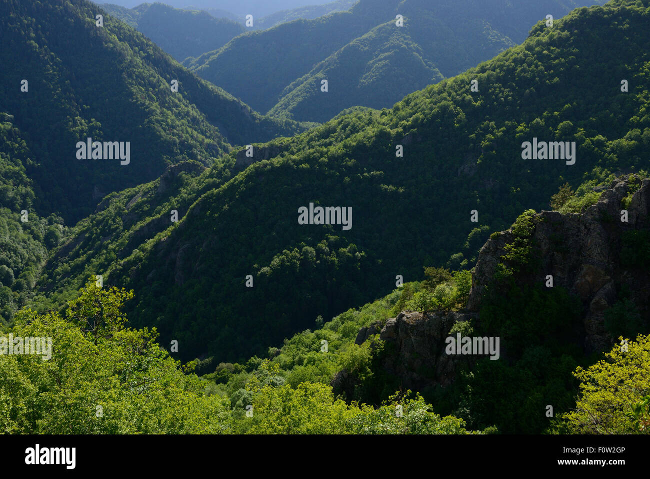 Area Deven paesaggio, Western montagne Rodopi, Bulgaria, maggio 2013. Foto Stock