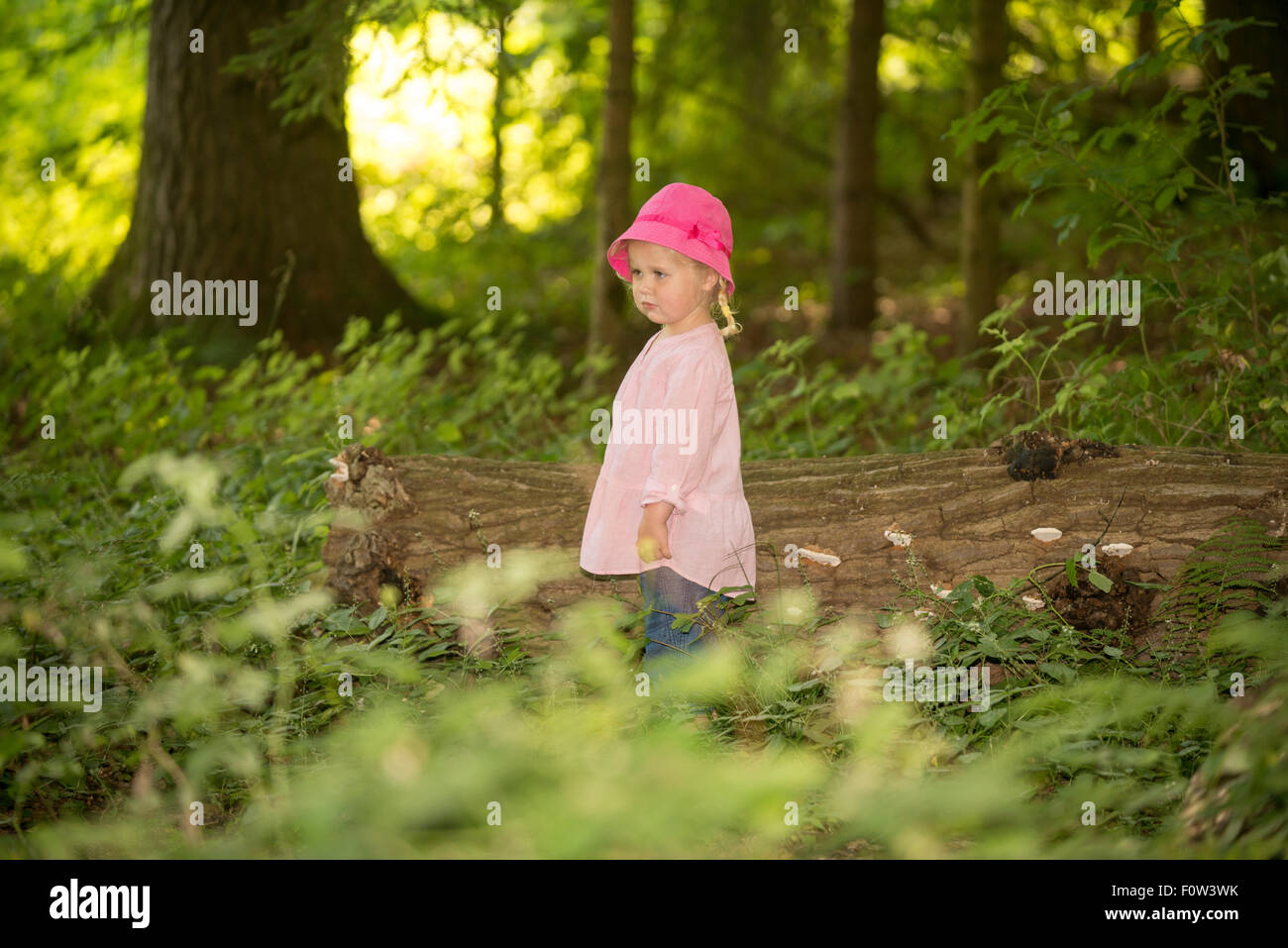 Bambina da 3 a 5 anni di età nel bosco. Foto Stock