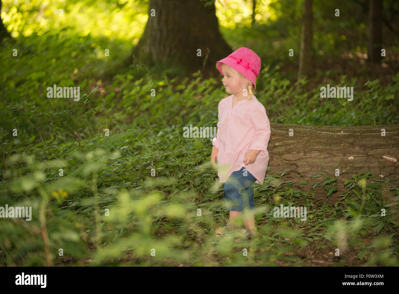 Bambina da 3 a 5 anni di età nel bosco. Foto Stock