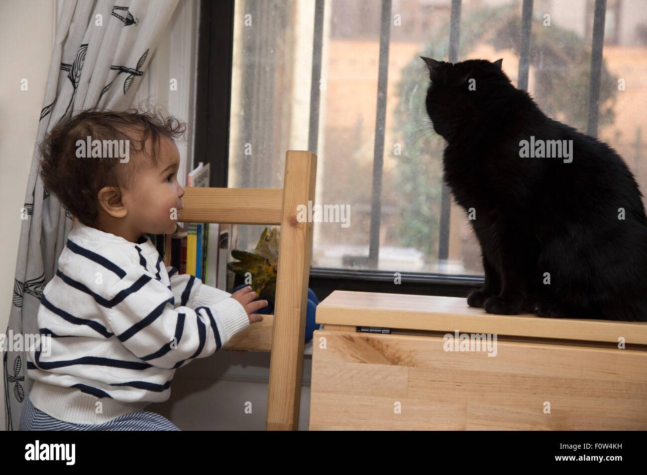 Ritratto di donna bambino guardando gatto sul davanzale Foto Stock