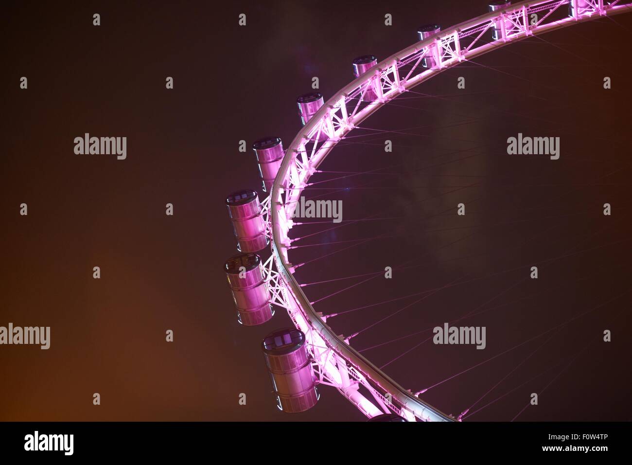 Dettaglio della rosa ruota panoramica Ferris di notte, Singapore Foto Stock