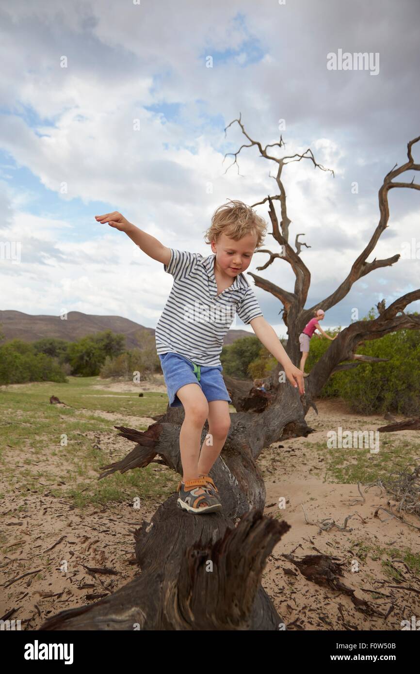 Ragazzo arrampicata su albero morto, Purros, Kaokoland, Namibia Foto Stock