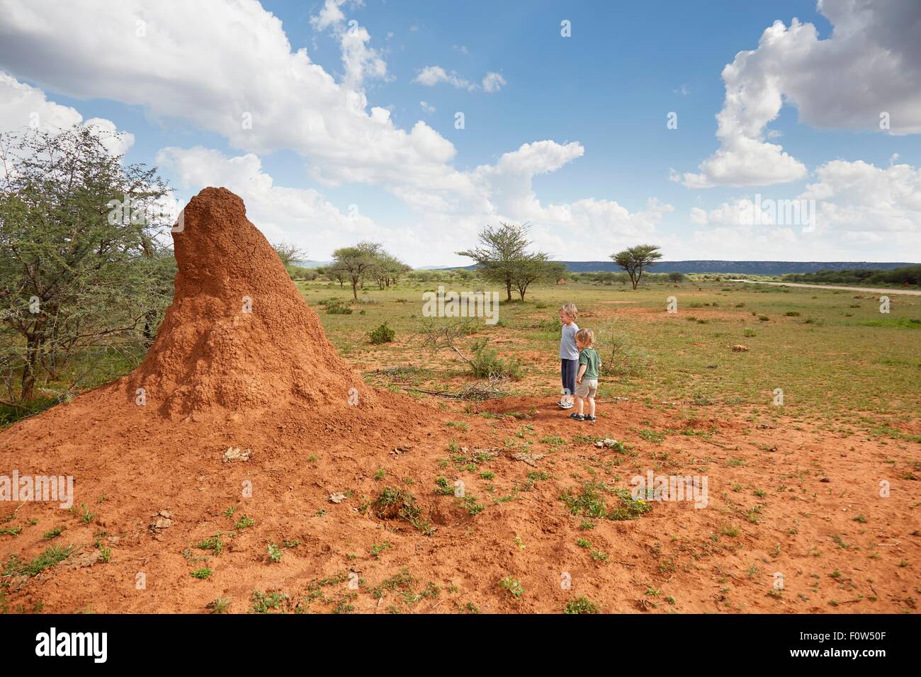 Due giovani ragazzi guardando termite hill, Opuwo, Kaokoland, Namibia Foto Stock