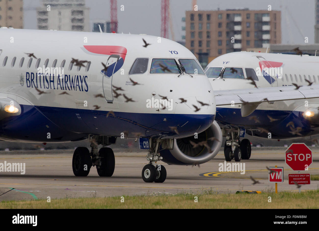 Uno stormo di uccelli attraversa il percorso della British Airways BA CityFlyer Embraer ERJ-190 registrazione G-LCYO come i taxi per decollare f Foto Stock