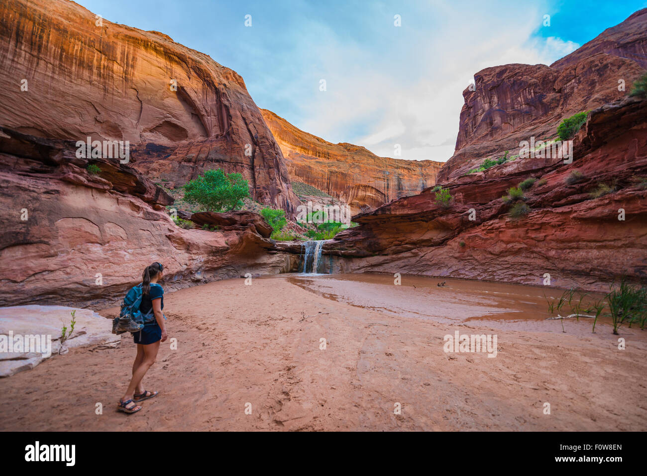 In cammino verso la cascata ragazza escursionista in Coyote Gulch Escalante Foto Stock