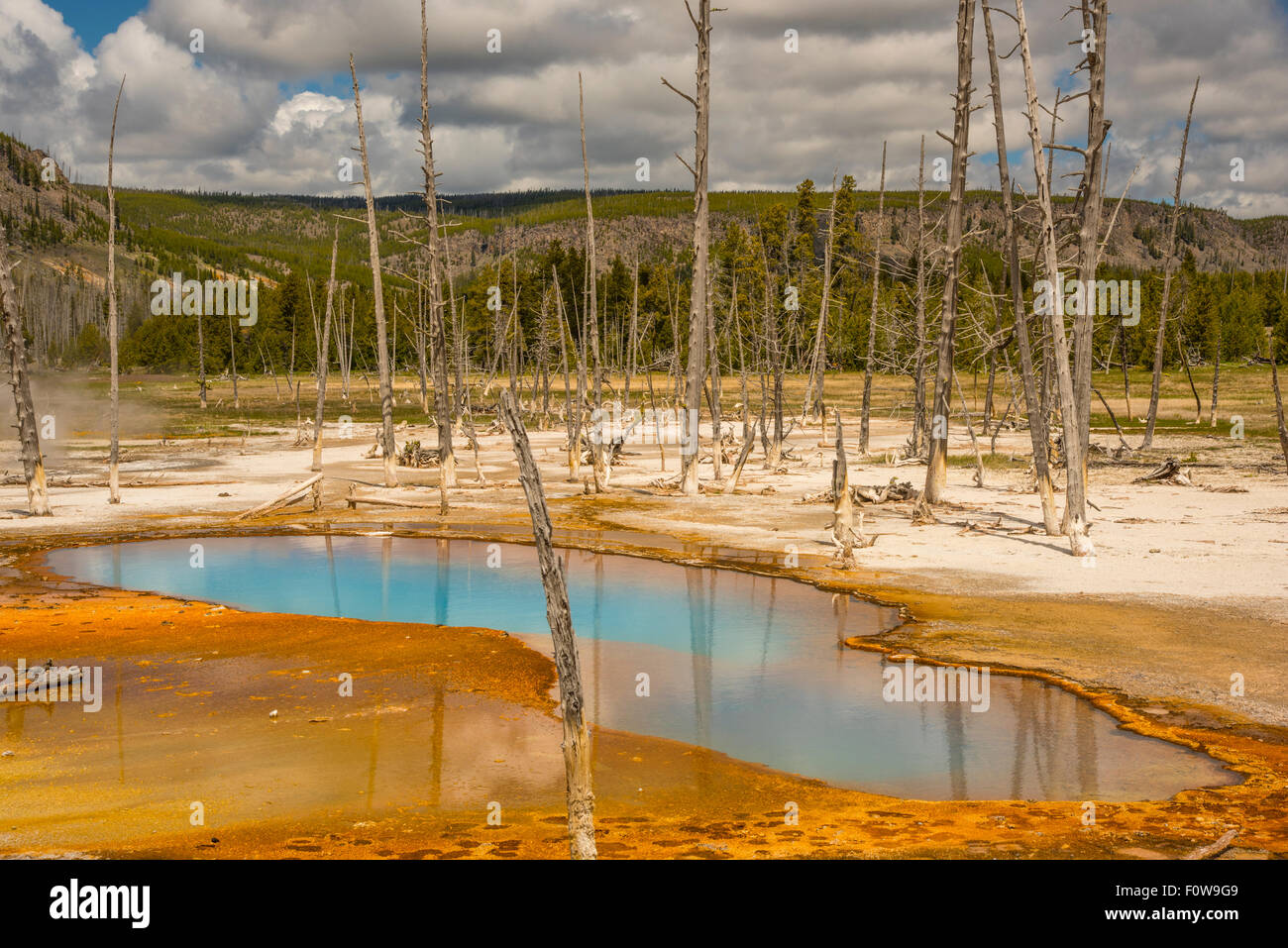 Scenario paesaggistico di blu piscina Opalesscent, Hot Springs,il Parco Nazionale di Yellowstone, Wyoming USA Foto Stock