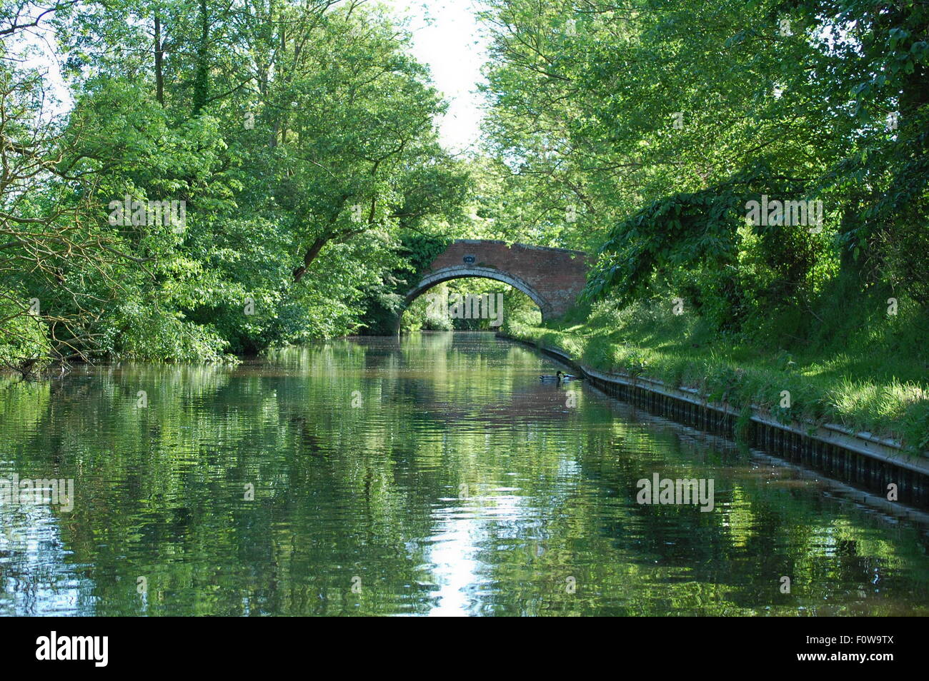 Serenità sui Trent & Mersey Canal Foto Stock