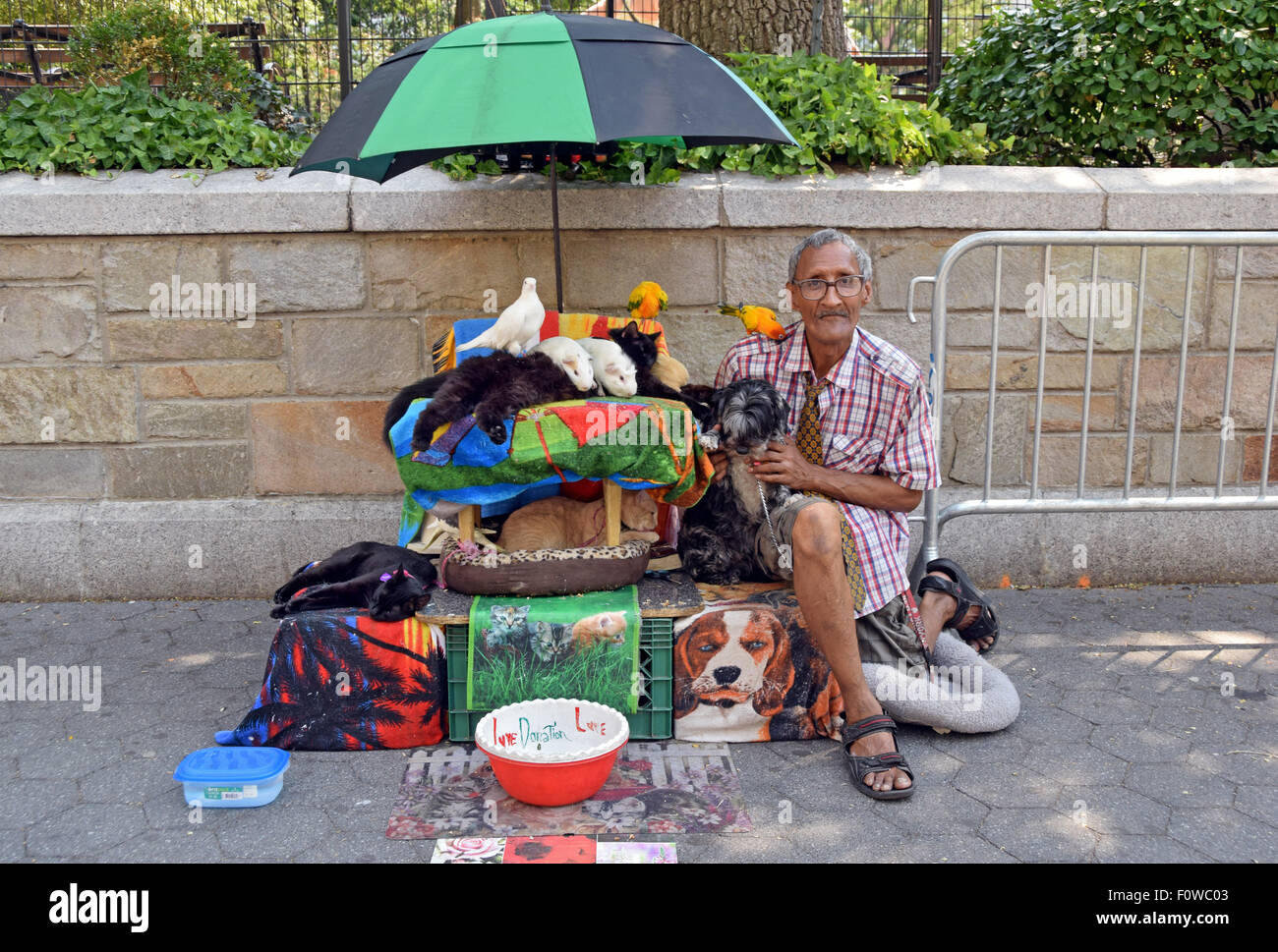 Un suonatore ambulante in Union Square Park a New York City con cani, gatti, uccelli e gerbilli. Foto Stock