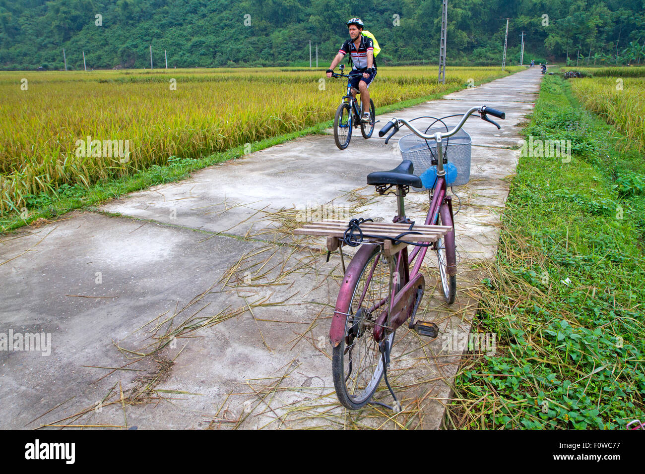 Pedalando attraverso i campi di riso vicino a Mai Chau Foto Stock