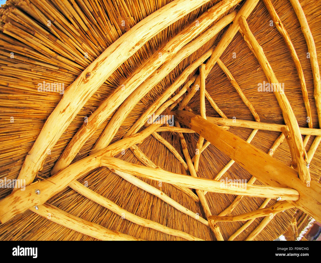 Tetto giallo è fatto di canne - vista dal basso Foto Stock