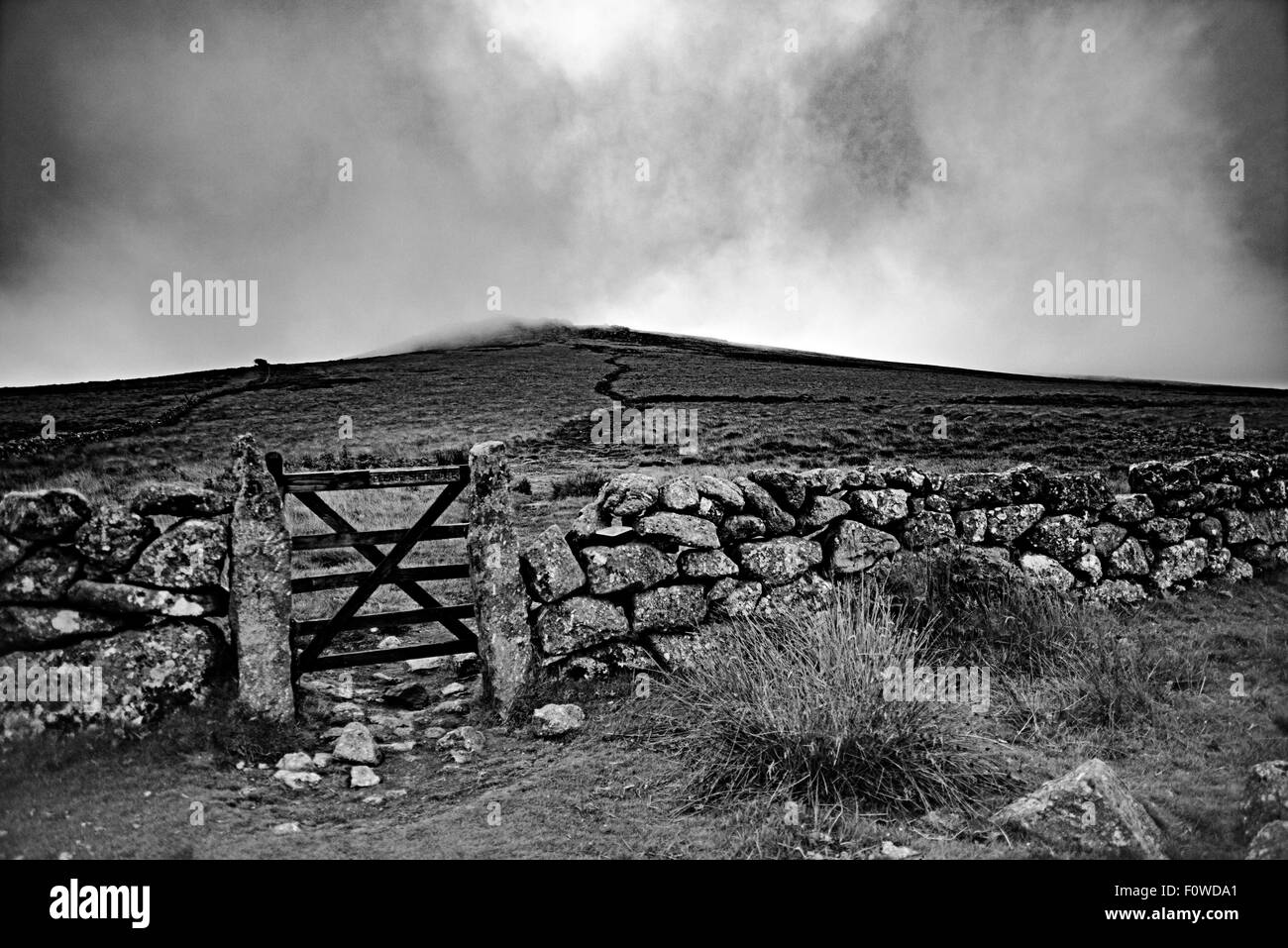 Il gateway nella parete di granito e il sentiero che conduce fino a Rippon Tor su Dartmoor con il tor stessa è avvolta nella nebbia. Foto Stock
