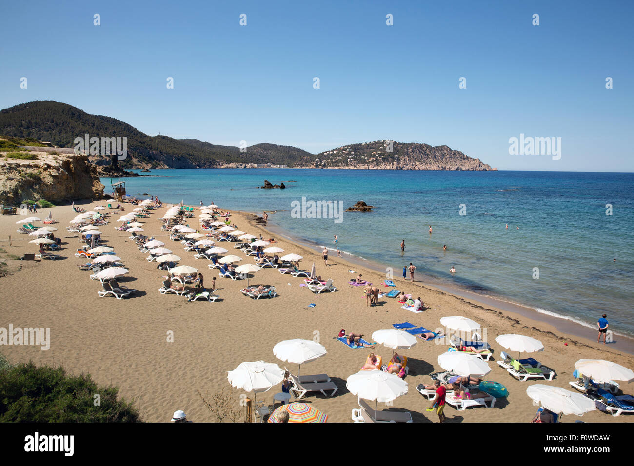 Playa Es Figueral beach, Ibiza Foto Stock