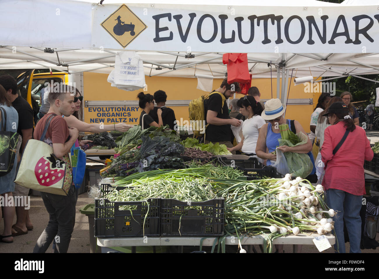 La gente acquista per un sano cibo fresco al Grand Army Plaza Farmers Market a Park Slope, Brooklyn, New York. Foto Stock