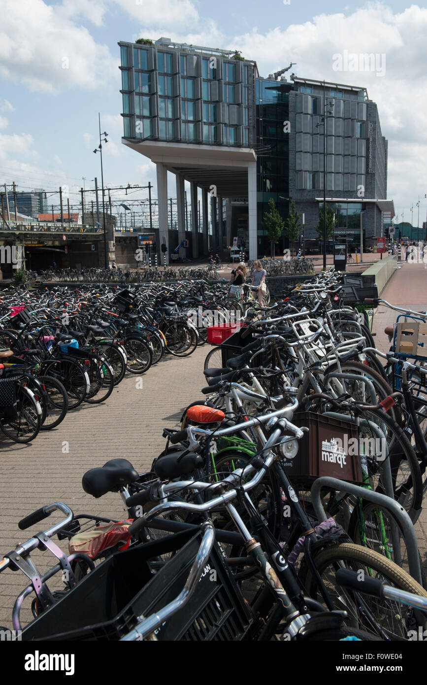 Biciclette a noleggio si erge vicino alla stazione, Amsterdam, Paesi Bassi Foto Stock